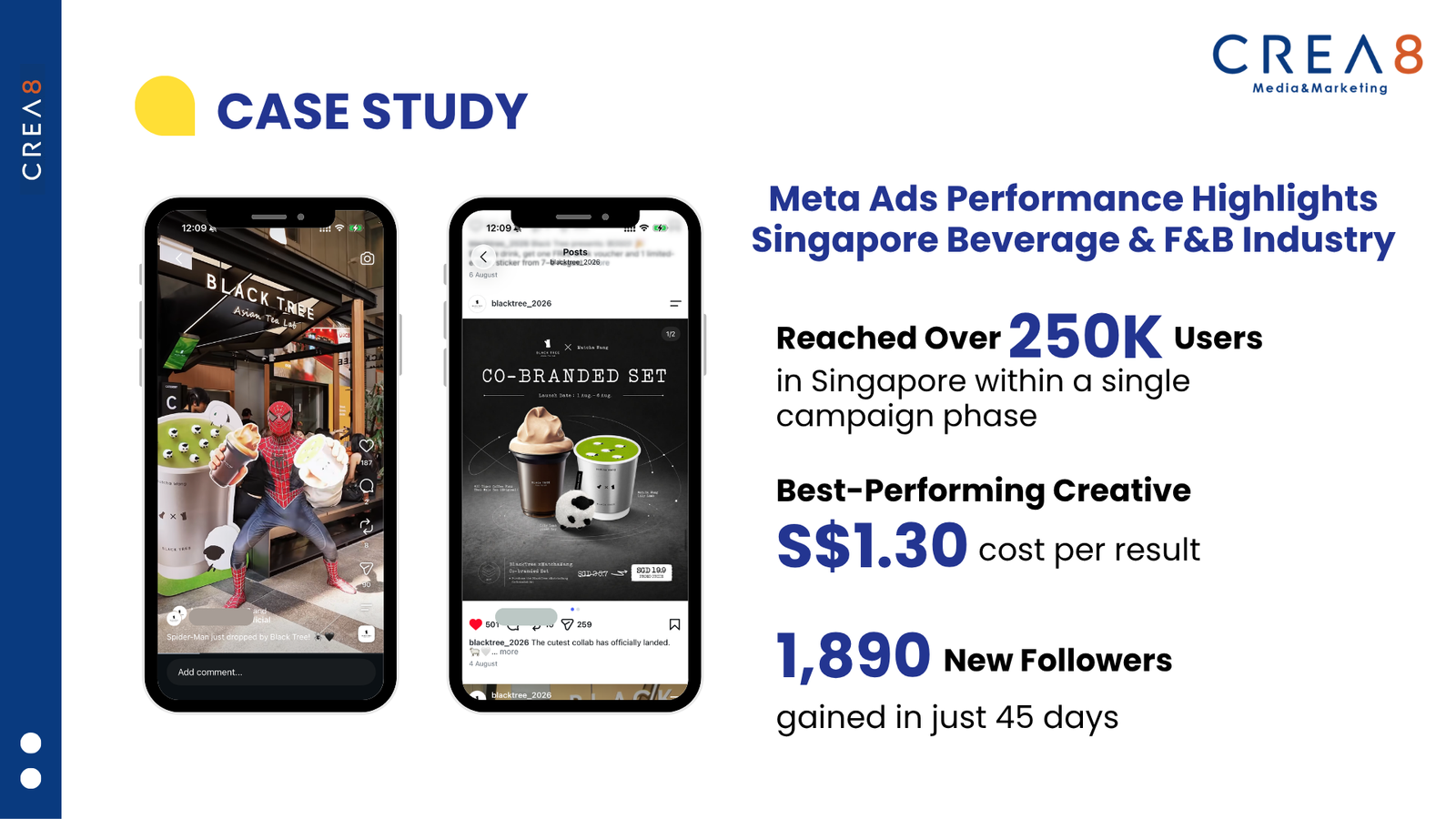 Black Tree campaign results and performance overview